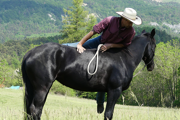 Débourage de votre cheval