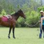 Cours équitation éthologique - 0