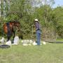 Cours équitation éthologique - 8