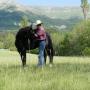 Cours équitation éthologique - 11