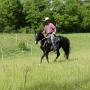 Cours équitation éthologique - 24